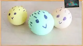 DIY Inflating Puffer Fish