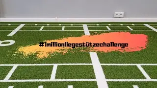 #1millionliegestützechallenge