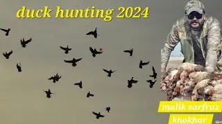 EPIC DUCK HUNTING 2024 WITH SHOTKAM / PAKISTAN / BY MALIK SARFRAZ KHOKHAR