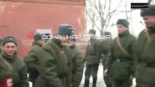 Гоп стоп зелень