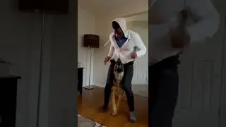 Powerlifter & His Dog Get In Speed Work