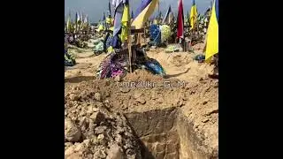Итоги правления 95 квартала 11