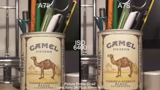 A7II vs A7s Video Comparison