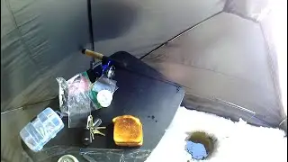 Megascorcher Fishing #2 - The 37hr Drought & The Grilled Cheese