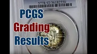 PCGS Coin Grading Reveal Toned Coins MS64 Grade Comparison