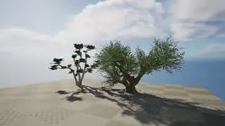 Olive Trees animation with 3d files and unreal engine animation setting ready