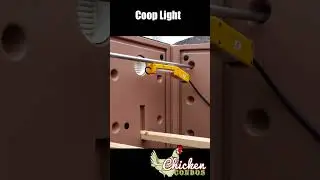 Barn Chicken Coop Short by Chicken Condos #shorts