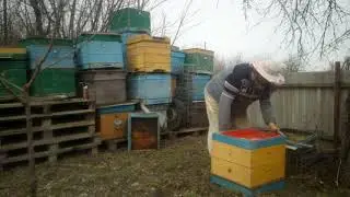 7. Пчеловодство. Первые шаги. Весенние работы.  Замена днищ под ульями