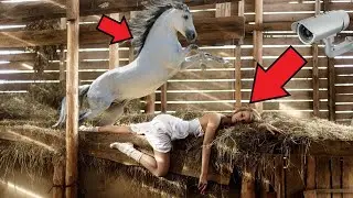 The bride began to often go to the stable. Having installed the camera, the farmer turned pale at w