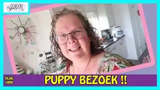PUPPY BEZOEK | KOUDUM | vlog 1899