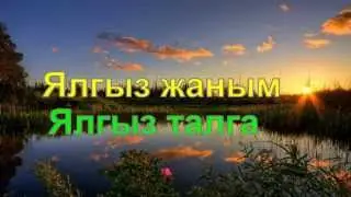 Наил табанаков.Ялгыз талым.