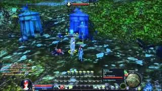 Aion - Krieger