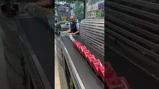Domino Day 😂😅 