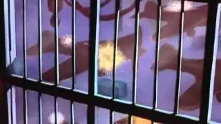 Disneys Donald Duck - The Spirit Of '43 (1943)