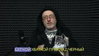 Правила волка - Андрей Вранской