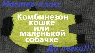Вязаный комбинезон для кошки или маленькой собачки.
