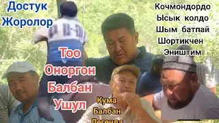 Достор улак