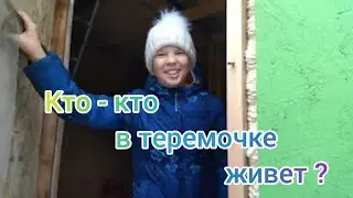 Итоги возведения сарая, закрытие строительного сезона 2023