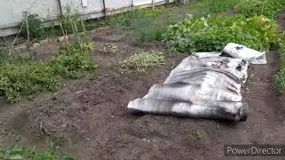 Осень незаметно к нам подкралась 😊