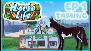 HORSE LIFE #1 WALK THROUGH (TAMING / EARNING MONEY / COMPLETING CHALLENGES + MORE)