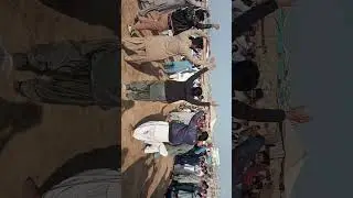 Saraiki Jhumer |سراٸیکی جھومر | Dera Ghazi Khan #saraikijhumer #saraiki #jhoomer #jhumar