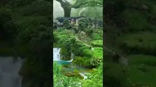 Relax Firefly !! SUBSCRIBE for Beautiful Nature with Relaxing Music !!  