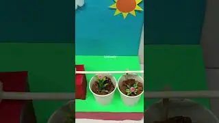 drip irrigation working model - diy - - science project -  diypandit - shorts | DIY pandit