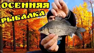 Закрытие сезона по открытой воде.