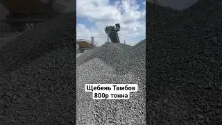19 июня 2023 г.