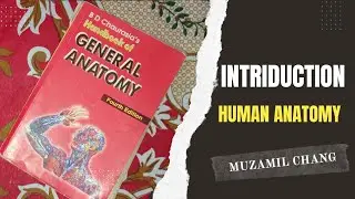 BASIC INTRODUCTION TO HUMAN ANATOMY
