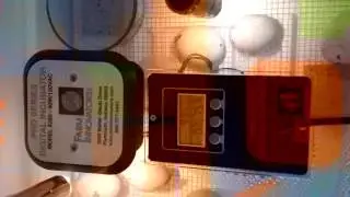 Live video