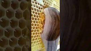 Perfect satisfying photos…😴 