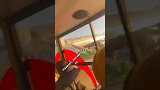 Нависен дхтаро