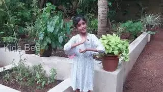 action song for kids | action song malayalam | ആംഗ്യപാട്ട്  #actionsongsforkids  #actionsong