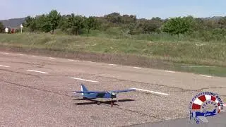 Delfín Adaptado eléctrico