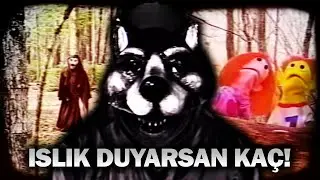ORMANDAKİ ŞEYTANİ TARİKATIN HİKAYESİ