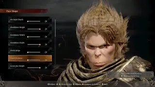 WuKong Face Creation: Wolong Fallen Dynasty
