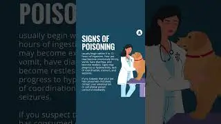 Chocolate Poisoning | Merck Veterinary Manual