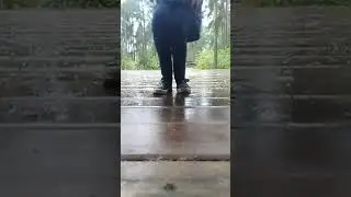Какашка в унитазе