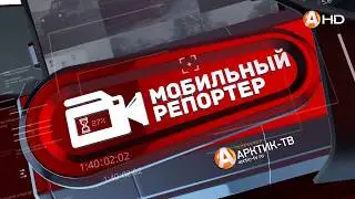 «Мобильный репортёр»: Как подозвать к себе лисичку на дороге?