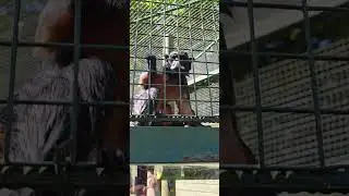 это малышка влюбила в себе сразу