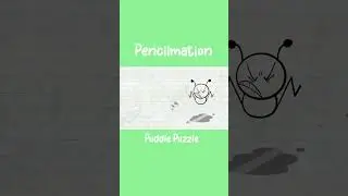 Puddle Puzzle