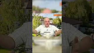 Кто был успешен в 19 веке?