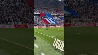 OL - Angers SCO : les Bad Gones lancent l’hommage à Lacazette 