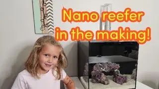 Nano reefer in the making! Nano reef build ep:20