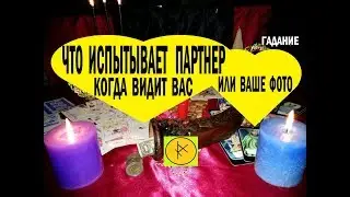 Таро Онлайн Что испытывает   Партнер, когда видит Вас или Ваше Фото? от 