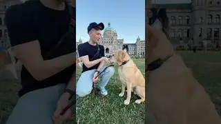 Mr Maple goes to Canada 🇨🇦 #shorts