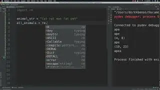 Regular Expressions Introduction in python by CodingXpertz