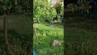 Детские площадки