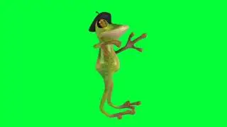 Green screen Cartoon frog video l Animated frog green screen